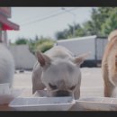 탄중로471번길19 이미지