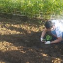 낙성대동-38 이미지