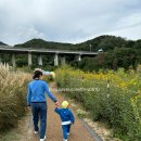 광산마을 | 부산 기장 광산마을 핑크뮬리 카페바람 근처 후기