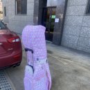 대호단양CC(대중제) 이미지