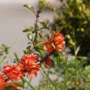 송천주유소 이미지