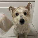 멍블멍블 이미지