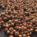 늘해랑농장 이미지