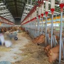 목동한우농장 이미지