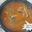 오늘따라청둥오리 이미지