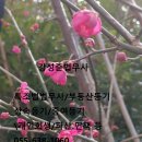 법무사강성준사무소 이미지