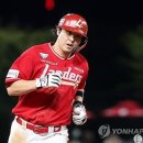 최정 카카오 검색결과