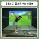 행구36스크린골프 | 마포 DMC역 디지털미디어시티역 스크린골프 골프존파크 상암M 후기