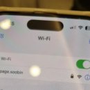 아지와 옹이 이미지