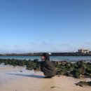 그린제주우도휴양펜션 이미지