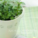 초록향기 - 성남시 수정구 달래내로369번길 8 | 초록향기
