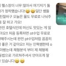 팀터틀랫 김해내외점 이미지