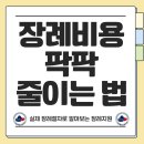제주장례상조 | 상조회사 추천 1위는? 장례비용 아끼는 진짜 노하우 공개