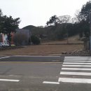 땅나라공인중개사사무소 이미지