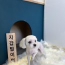 환해지개 이미지