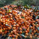 각남면사무소 이미지