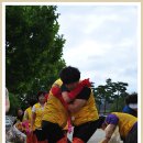 대송면사무소 이미지