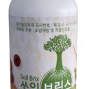 남양하나종묘