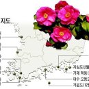 동백산방 이미지