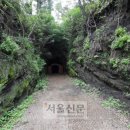 제주 셋알오름 일제동굴진지 이미지