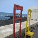 제주마중in판포 이미지