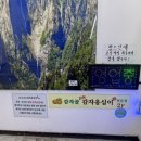 감자골 옹심이 | [강원도] 속초 중앙시장 감자옹심이 맛집 추천
