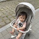 앨빈카페 | 올보르 앨빈 트라이크 그레이 내돈내산 후기