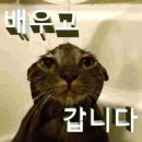 섬데이 | 26년에 쓴 25년에 본 썸데이 후기