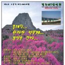 제2차 제주 테마여행 신청하세요!|(5.29~30 전주MT산악회) 이미지