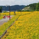 낙동강변6 이미지