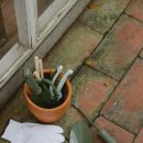 [국비지원] 조경기능사 필기 이미지