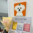 댕댕묭실 이미지