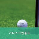 가나스크린골프 이미지