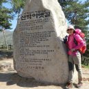 시곡농장 Daum카페