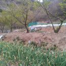 녹산농장 이미지