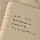 롱톨샐리피자 | 스물다섯살에 내가 이룬 것들