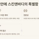 피우다 꽃 스킨바디 이미지