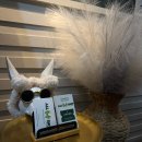 건강 마사지(손, 발) | 발마사지 성지 부천 중동 마사지 올풋샵 마사지