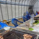 숲속의 하얀집 이미지