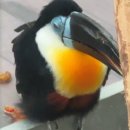 파란하늘유치원 | [공지] #1 🐦 [오산] 버드파크 방문 후기 ✨ ✨ 가족·데이트·아이와 함께 즐기기 좋은 곳!
