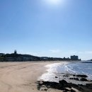 지영이네민박 이미지