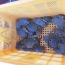 삼대광양불고기집 이미지