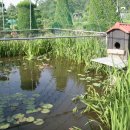 원앙슈퍼 이미지