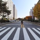 대자연마을 이미지