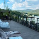 대형애견 이미지