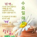 꽃은 바람에 흔들리며 핀다 이미지