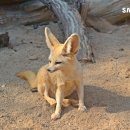 코뿔소 음식점 이미지