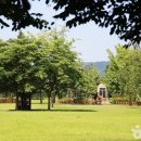 신단1길 이미지