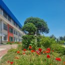 창기중학교 이미지