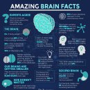 뇌종양,뇌 전이 환자의 회복을 돕는 자연 의학 이미지